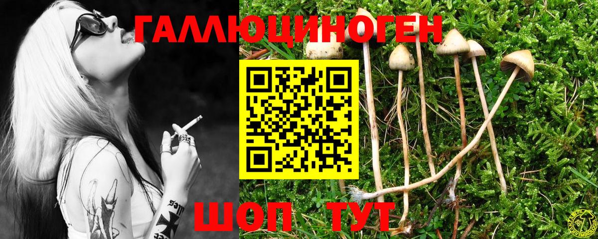 Галлюциногенные грибы мухоморы  Псилоцибиновые грибы GOLDEN TEACHER  Кондопога  Вход с VPN 